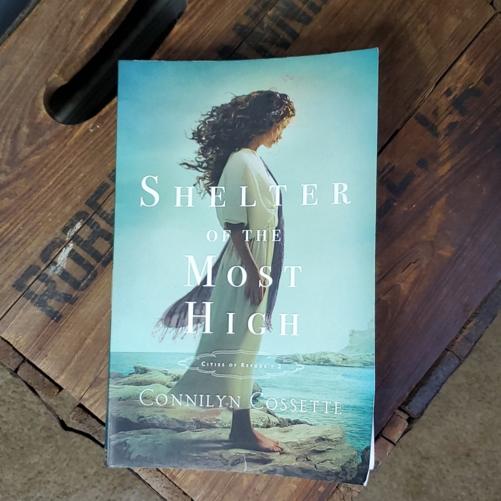 Shelter of the Most High softback book